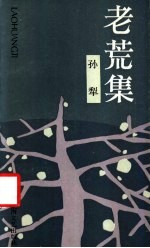 老荒集 封面