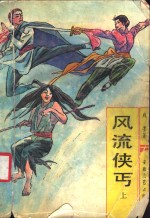 风流侠丐  上 封面