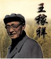 王稼祥 电子书封面