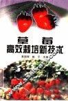草莓高效栽培新技术 封面