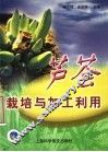 芦荟栽培与加工利用 封面
