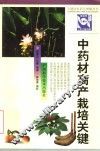 中药材高产栽培关键技术 封面