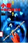 小康中国的战略选择 封面