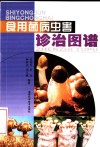 食用菌病虫害诊治图谱 封面