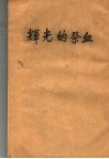 辉光的祭血 封面
