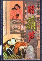 醋葫芦 封面