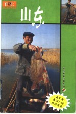 在路上自助游系列指南  山东 封面