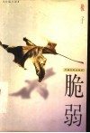 脆弱  长篇小说 封面