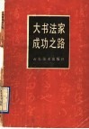 大书法家成功之路 封面