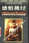 感悟佛经 封面