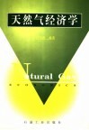 天然气经济学 封面