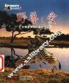 野兽之爱  对情爱本质的重新审视  摄影集 封面