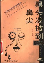 黑头发披到鼻尖  短篇选萃 封面