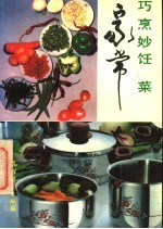 巧烹妙饪家常菜 封面