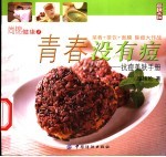 青春没有痘  抗痘美肤手册 封面