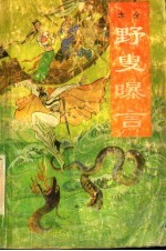 野叟曝言  第6册 封面