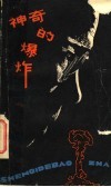 神奇的爆炸 封面