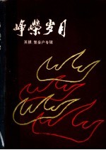 峥嵘岁月  英雄、模范、堡垒户选辑  2 封面