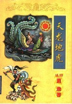 天龙地虎 封面