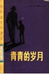 青青的岁月 封面