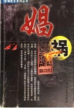 百祸民生系列丛书  娼祸 封面