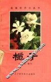栀子 封面