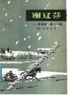 谢辽莎：潘诺娃中篇小说选 封面