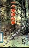 一个爱情故事 封面