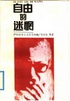自由的迷惘  萨特存在主义哲学剖视 电子书封面