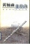 黄楠森自选集 封面