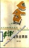 迷失在西部 封面