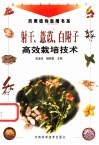 射干、薏苡、白附子高效栽培技术 封面