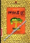神秘花园 封面