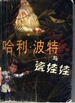 哈利·波特与瓷娃娃  哈利·波特游侠中国 封面