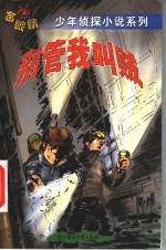 别管我叫贼 封面