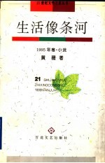生活像条河  1995年卷  小说 封面