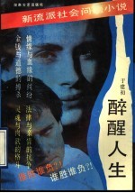 醉醒人生  新流派社会问题小说 封面