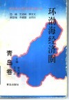 环渤海经济圈  青岛卷 封面