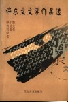 许东文文学作品选 封面
