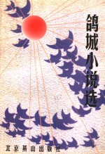 鸽城小说选 封面