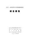 《济宁：曲阜都市区发展战略规划》综合报告 封面