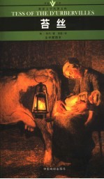 苔丝  全译插图本 封面