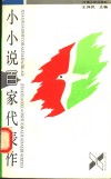 小小说百家代表作 封面