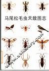 马尾松毛虫天敌图志 封面