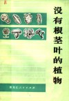 没有根茎叶的植物 封面