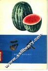 西瓜 封面