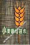 小麦栽培技术 封面