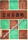 怎样养群鸭 封面