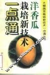 洋香瓜栽培新技术一点通 封面