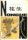 花生 封面